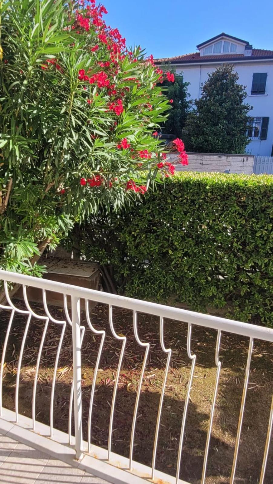 Appartamento Stella Marina A Due Passi Dal Mare E Dal Centro Marina Di Carrara Εξωτερικό φωτογραφία